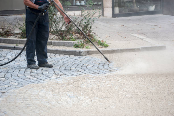 Animal Enclosure Cleaning in Kentfield, CA